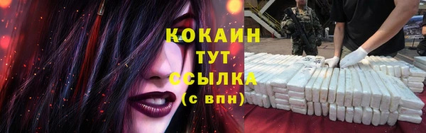 амф Богданович