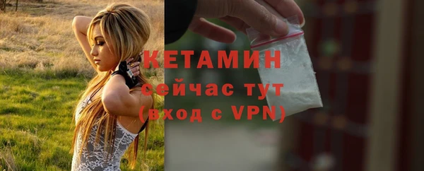 амф Богданович