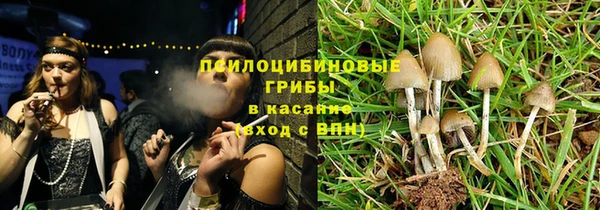 стаф Богородицк
