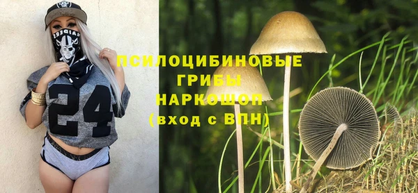 стаф Богородицк