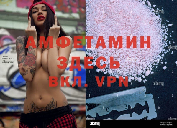 амф Богданович