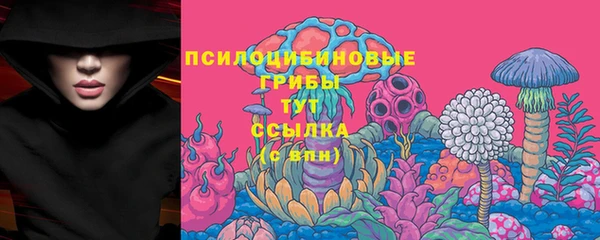 стаф Богородицк