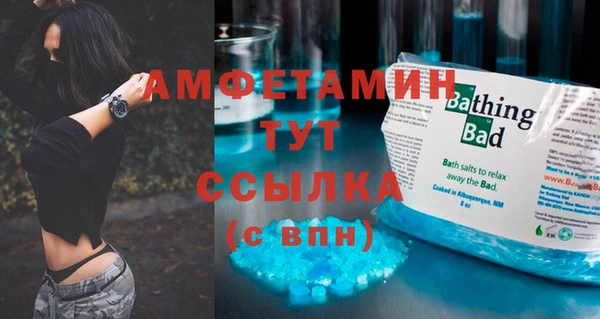 амф Богданович